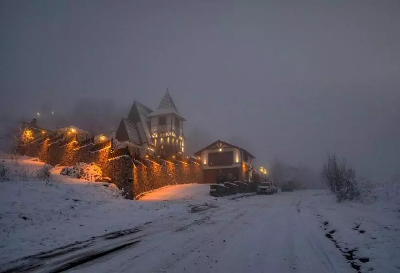 ホテル Alpine Castle