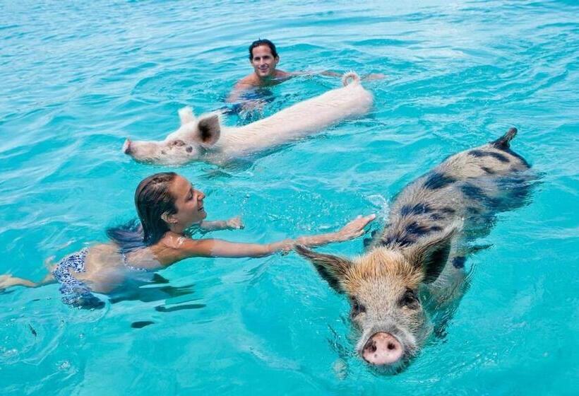 هتل St Francis Resort