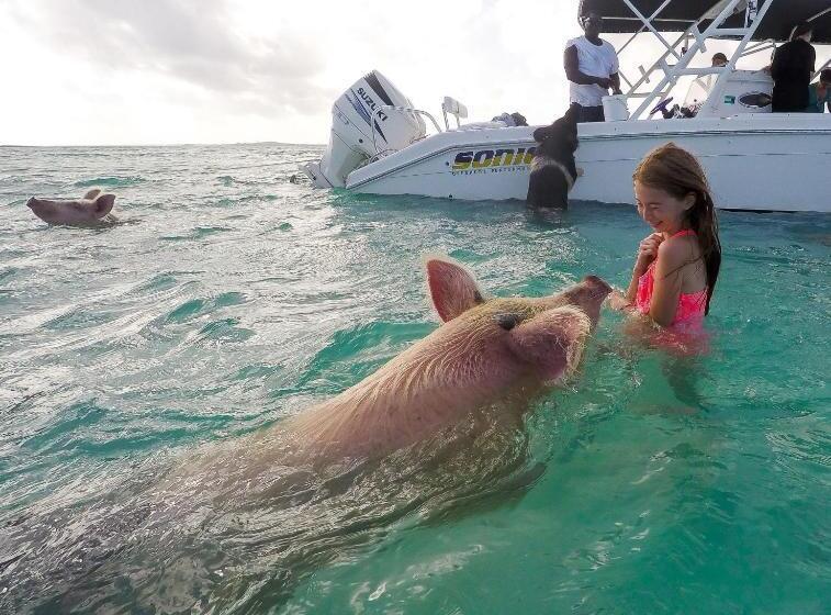 هتل St Francis Resort