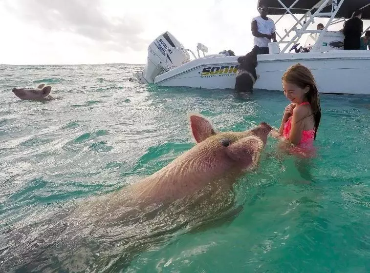 هتل St Francis Resort