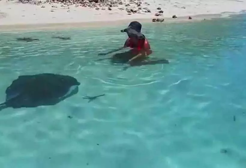 هتل St Francis Resort