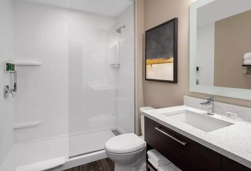 Hotelli Towneplace Suites By Marriott Twin Falls