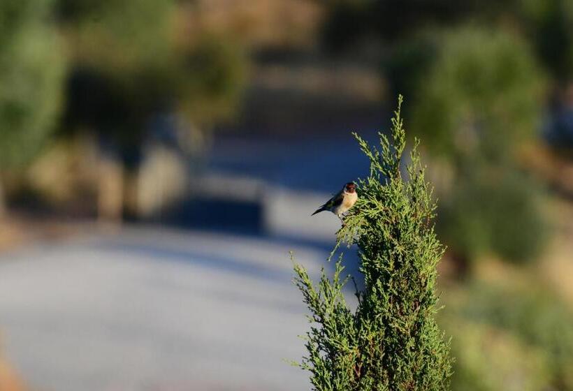 בית מלון כפרי Vistas   Herdade Do Zambujal
