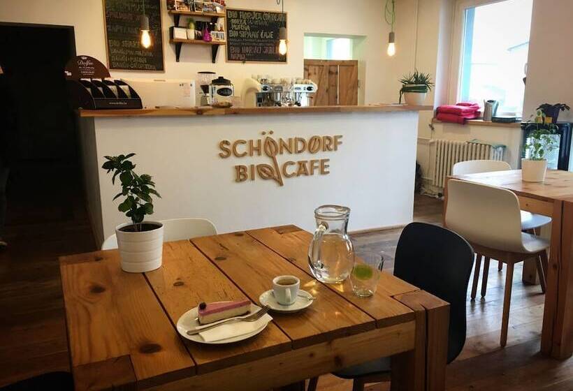 Schöndorf Hostel   Virtual Reception