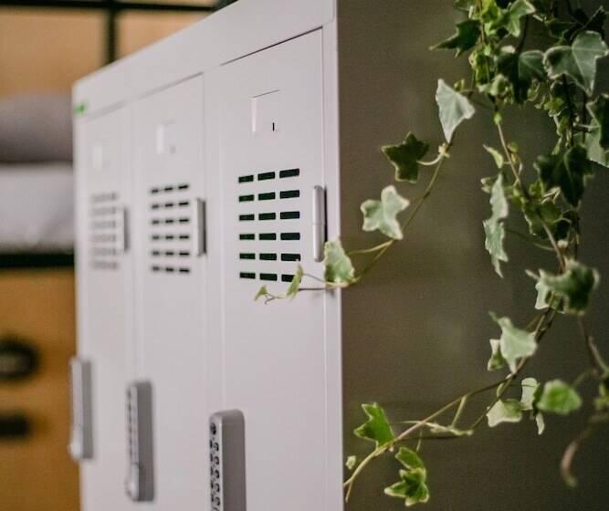 Schöndorf Hostel   Virtual Reception