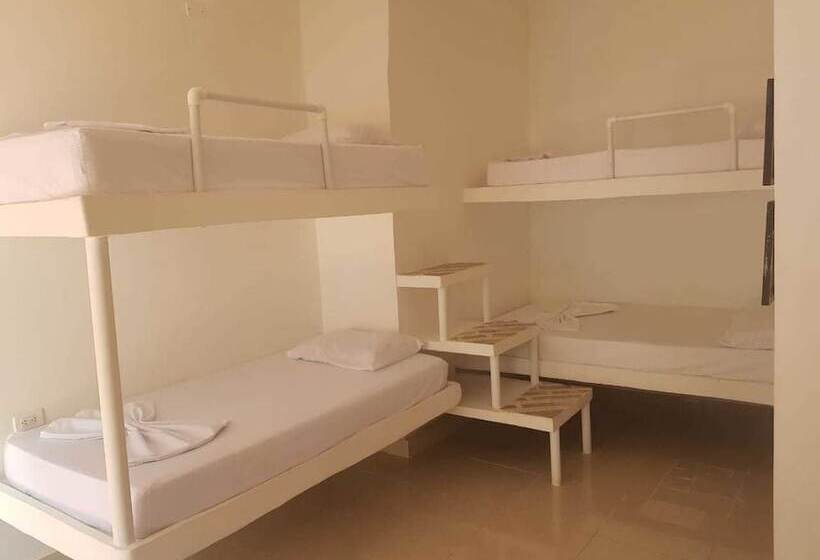 酒店 Playa Tiburon