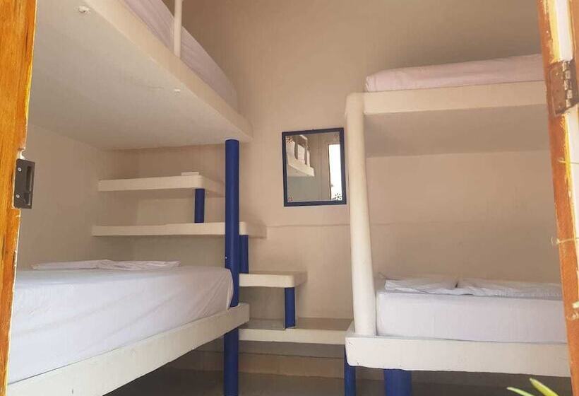 酒店 Playa Tiburon