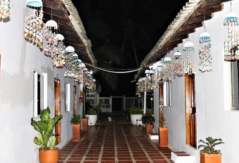 酒店 Playa Tiburon