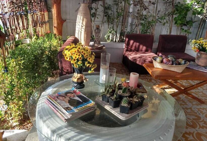 酒店 Playa Tiburon