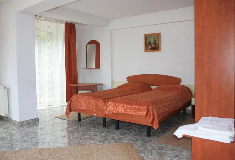 Отель Vila Mihail