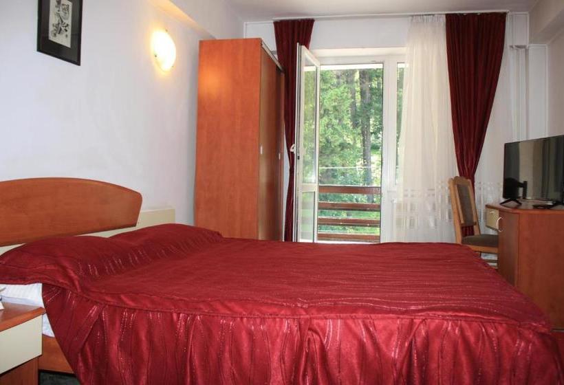 Отель Vila Mihail