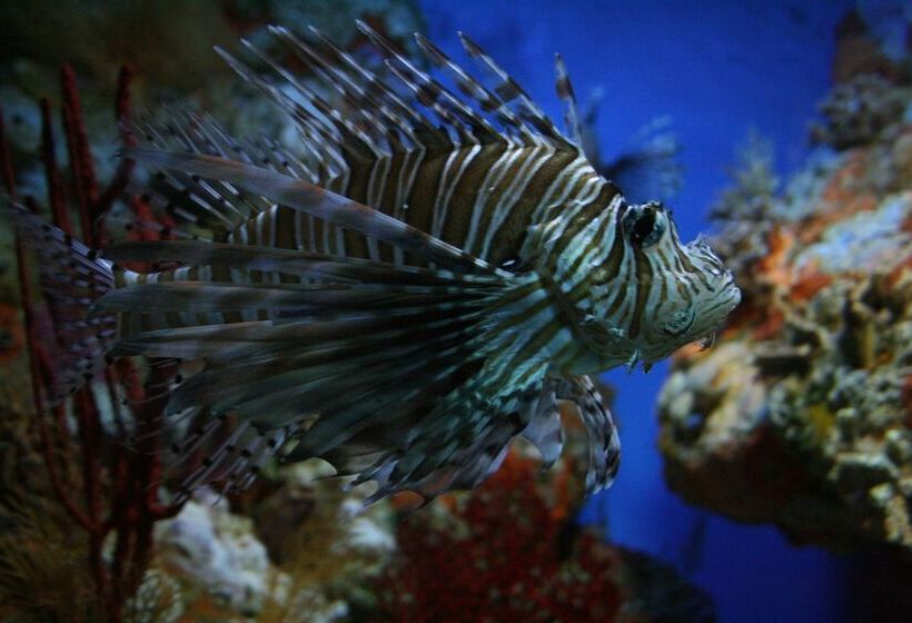 هتل Courtyard By Marriott Houston Heights/i10