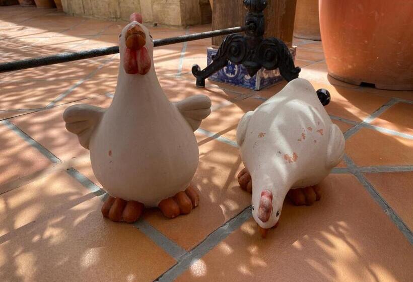 Hotel Roomqueo Only Adults