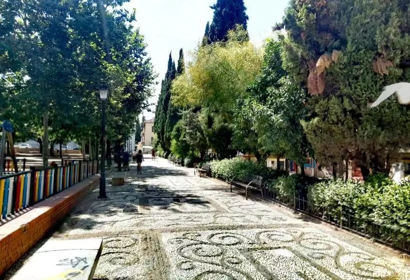 پانسیون Casa Honda10