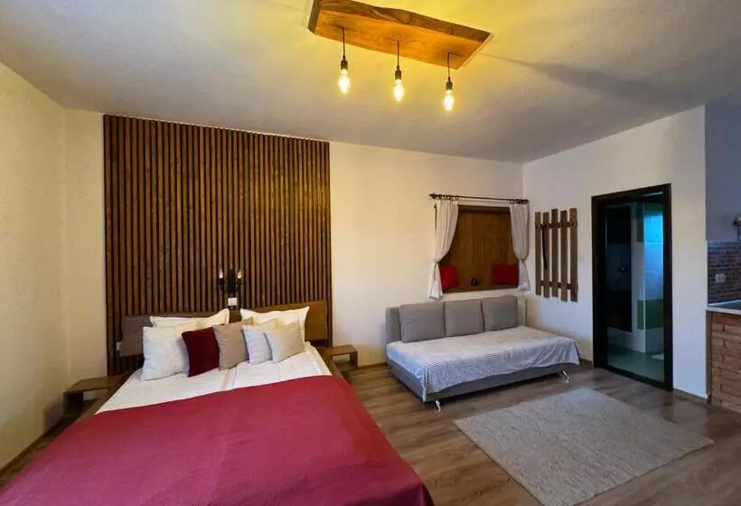 Aamiaismajoitus (B&B) Constantin Panzió