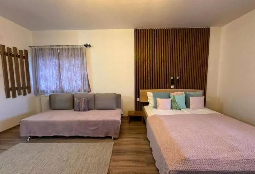 Aamiaismajoitus (B&B) Constantin Panzió