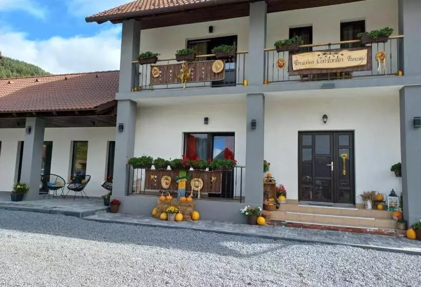 Aamiaismajoitus (B&B) Constantin Panzió