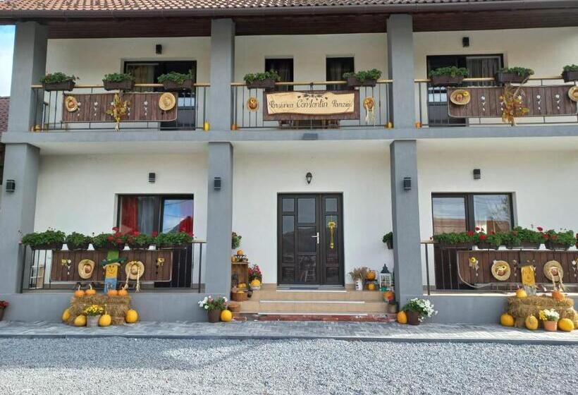 住宿加早餐  Constantin Panzió