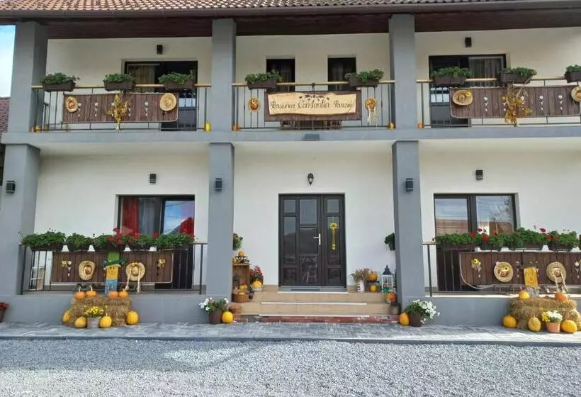 Aamiaismajoitus (B&B) Constantin Panzió