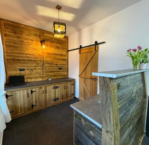 住宿加早餐  Constantin Panzió