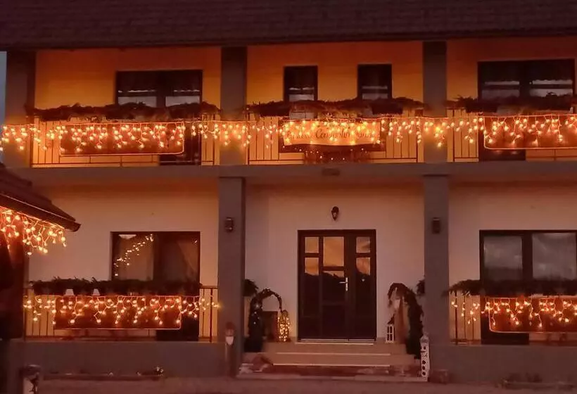 Aamiaismajoitus (B&B) Constantin Panzió