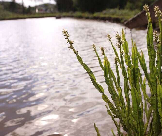 هتل Murialdo Caxias