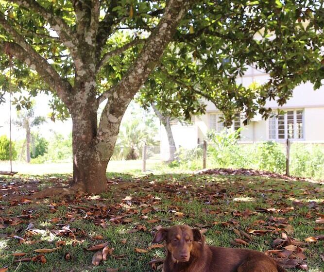 هتل Murialdo Caxias