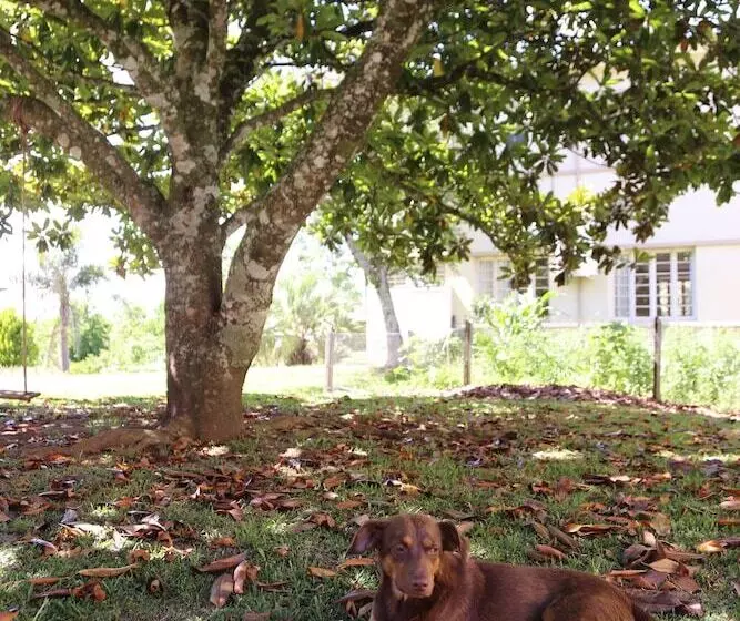 ホテル Murialdo Caxias