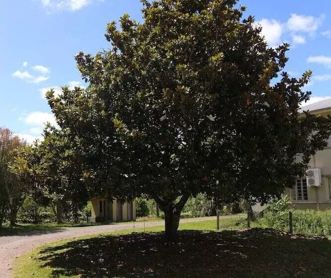 ホテル Murialdo Caxias