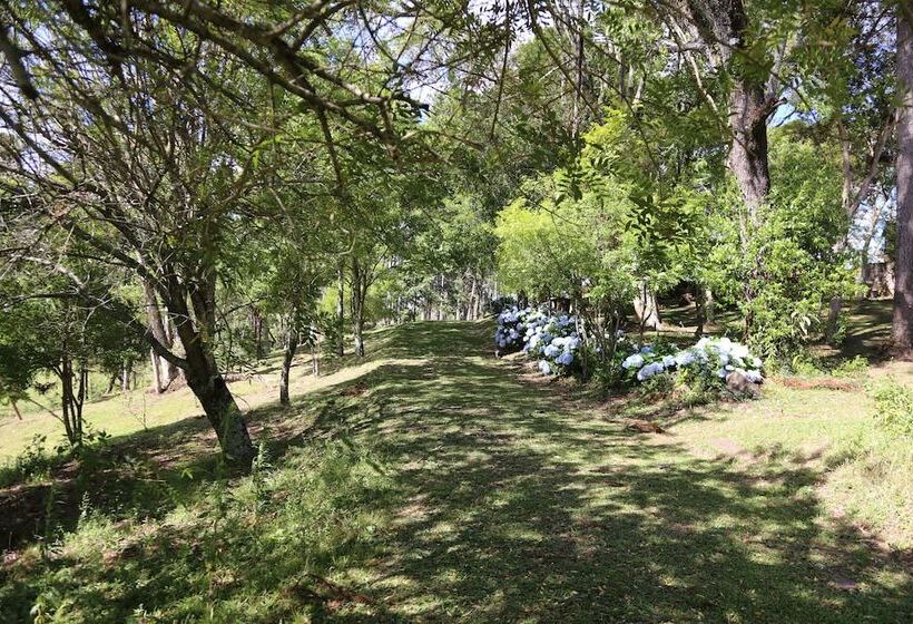 هتل Murialdo Caxias