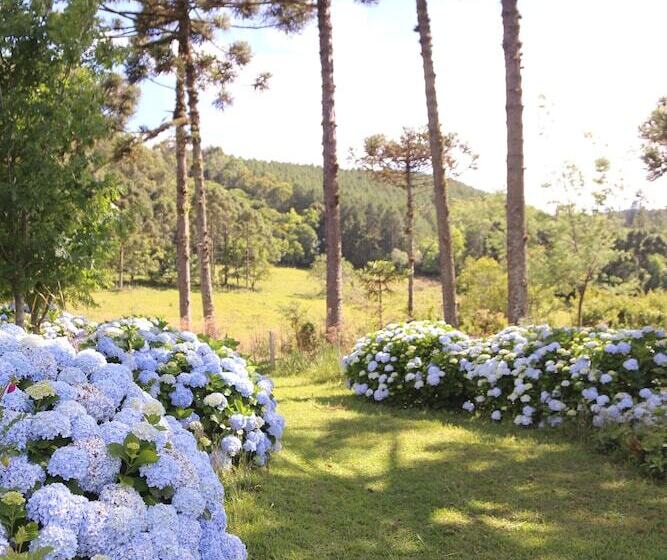 هتل Murialdo Caxias