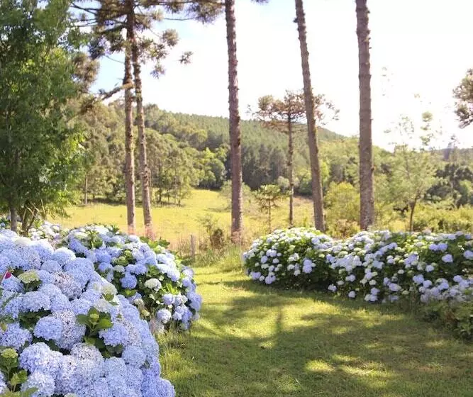 ホテル Murialdo Caxias