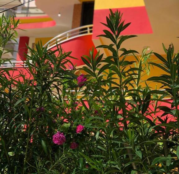 پانسیون Guest House Murati