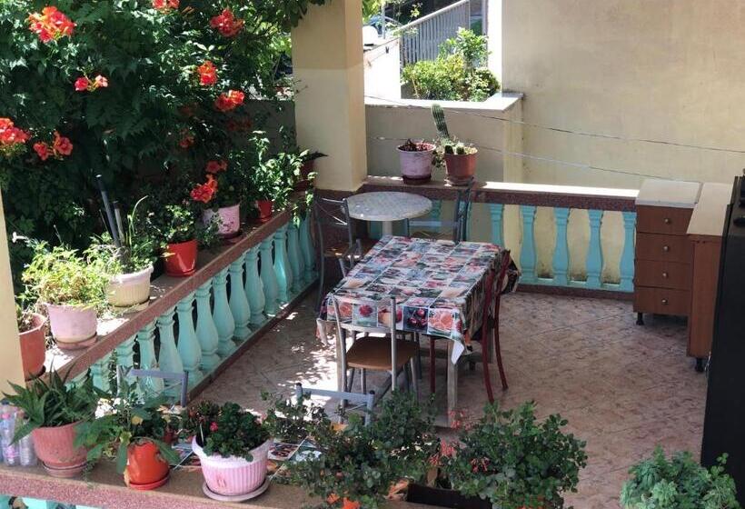 پانسیون Guest House Murati