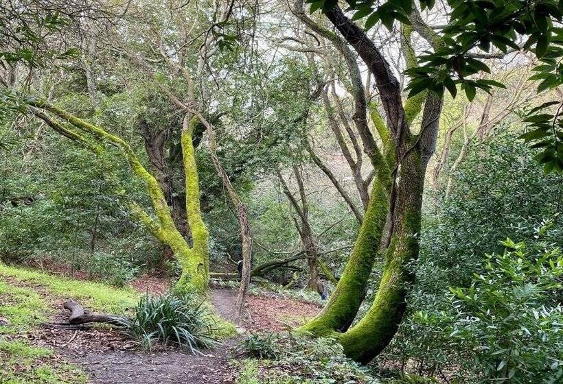 Claremont Resort & Club