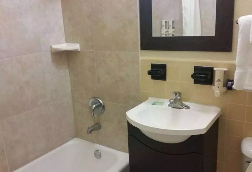 호텔 American Inn Of Daytona