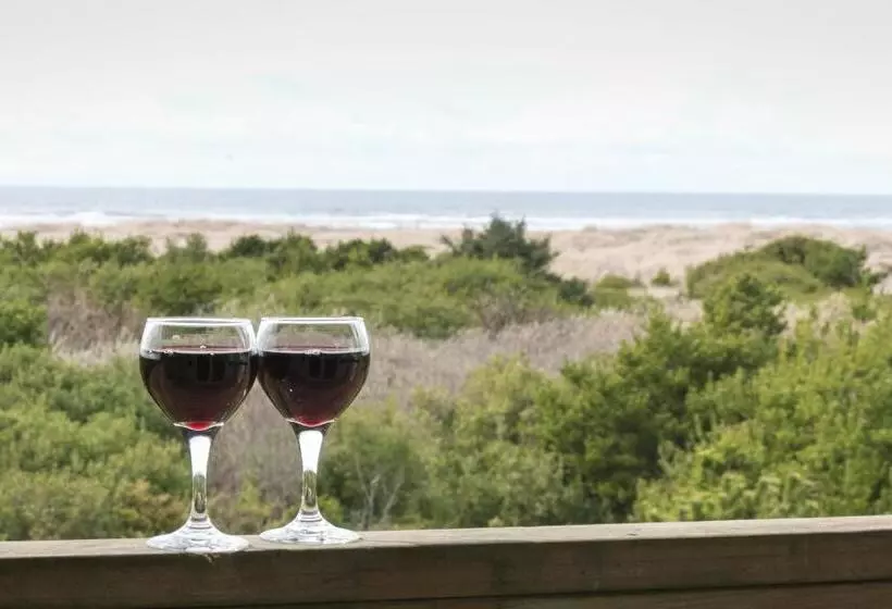 فندق Canterbury Inn