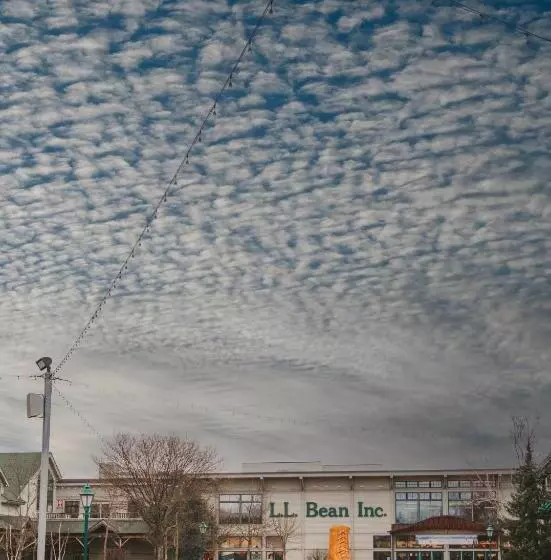 호텔 Casco Bay Inn