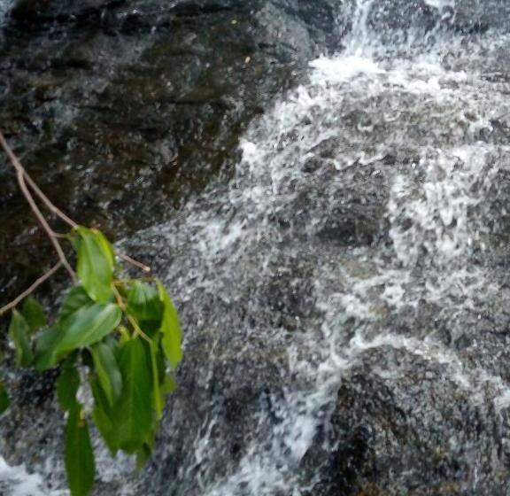 Pensiune Rock Cave Dambulla Private Room