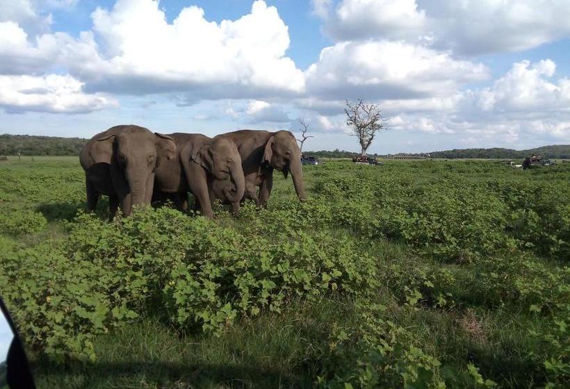 Pensiune Rock Cave Dambulla Private Room