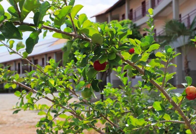 호텔 Pousada Da Lapa