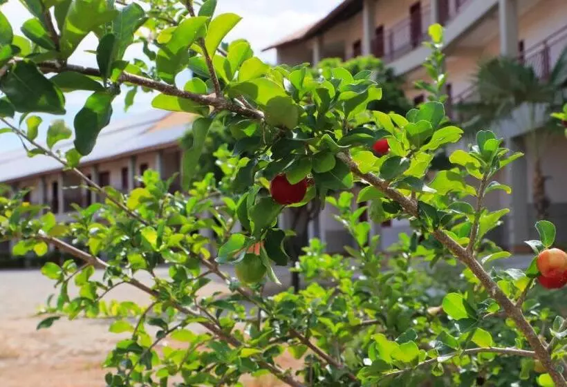 ホテル Pousada Da Lapa