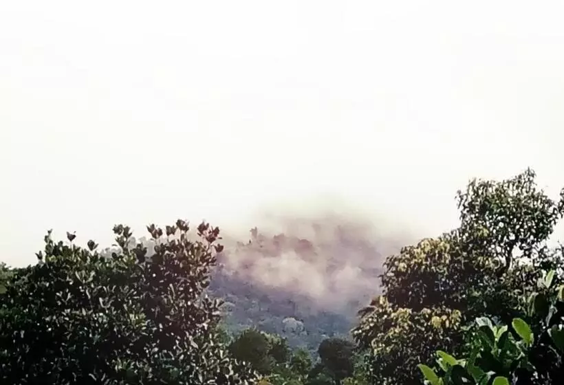 Majatalo Hill Mist Thekkady