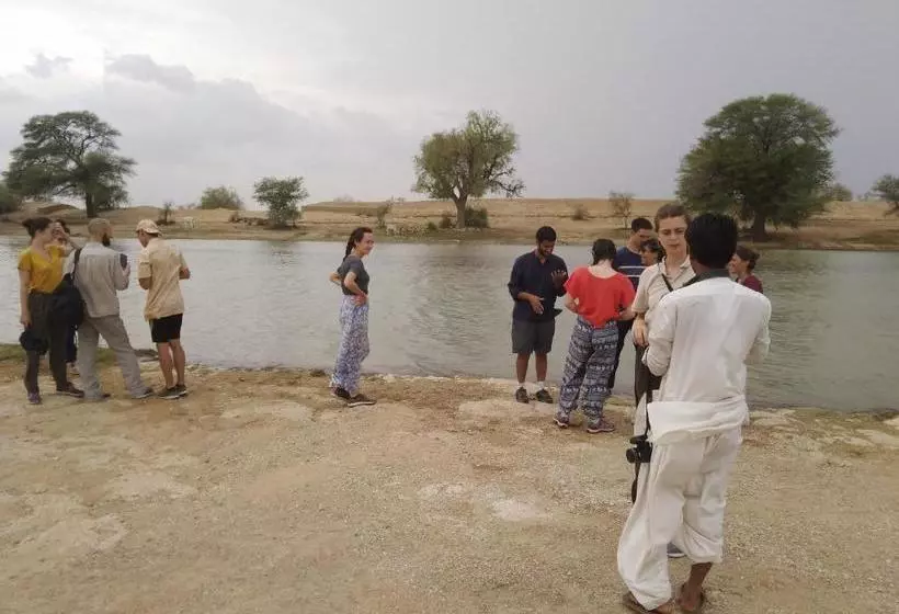 پانسیون Bob Cafe & Guest House Jaisalmer