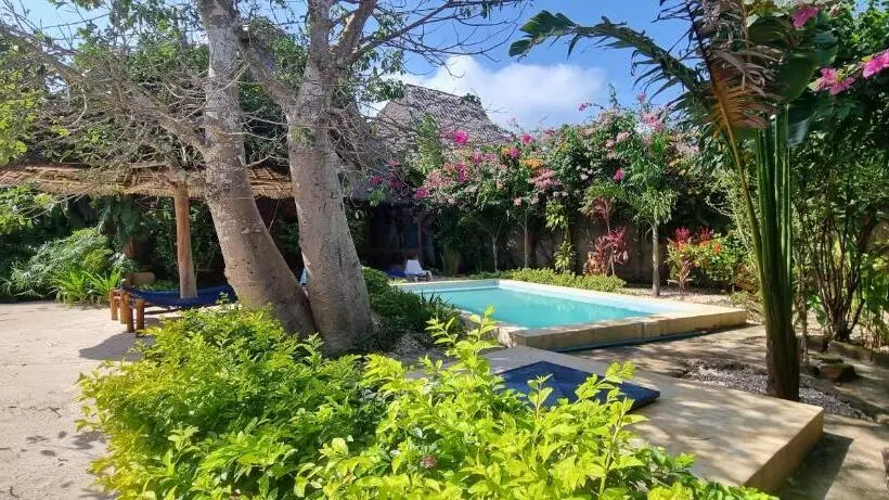 ホテル Salama & Mbuyuni Bungalows