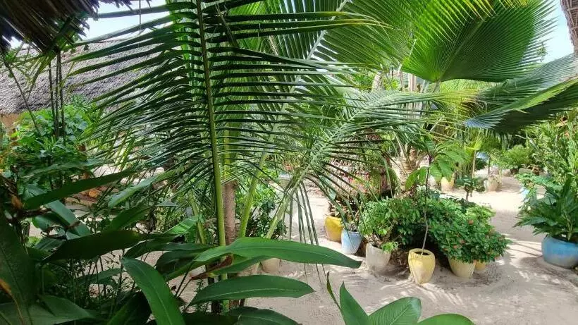 ホテル Salama & Mbuyuni Bungalows