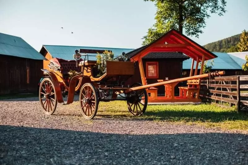 Pensiunea Miorița Putna