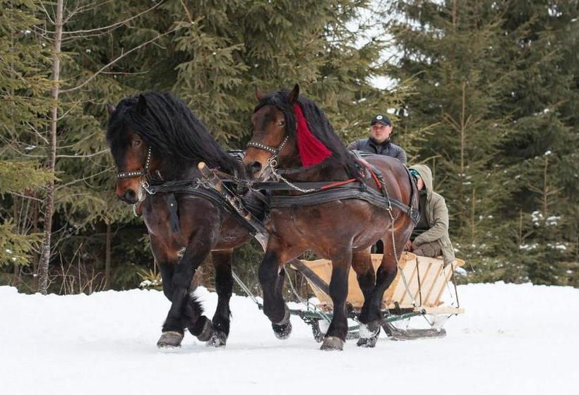 Pensiunea Miorița Putna