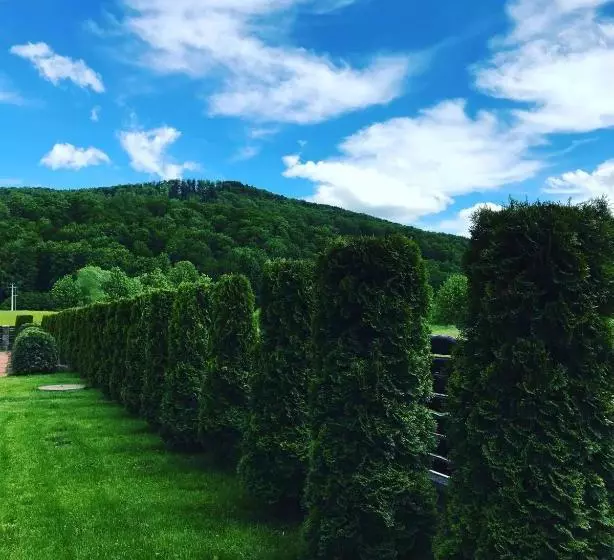 Pensiunea Miorița Putna