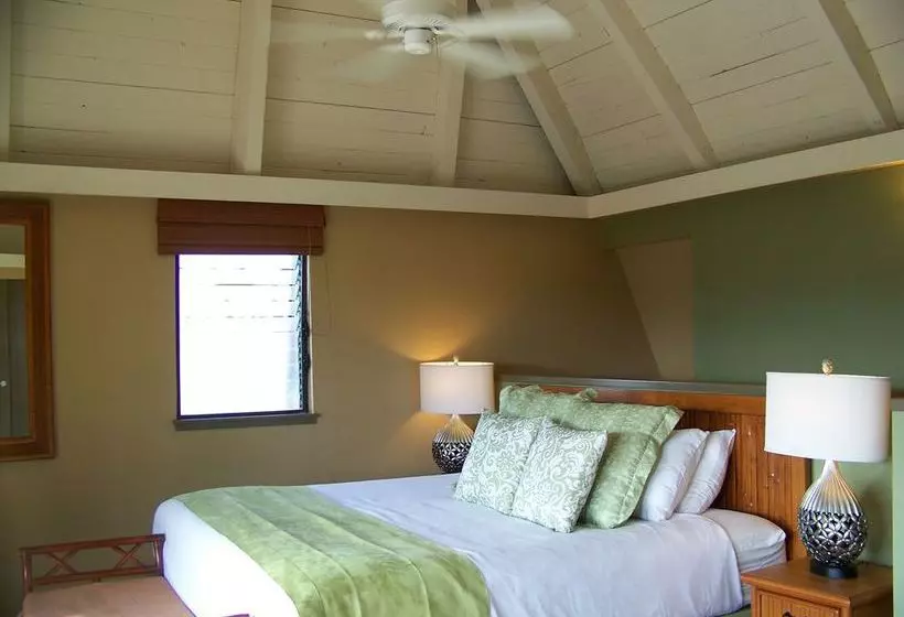 酒店 Colony I At Sea Mountain In Pahala